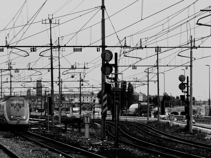 Zrozumienie mowy ciała Twojego kota