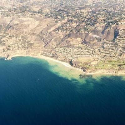 Dr. Maria Lewandowska